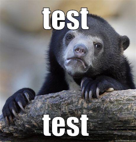 TEST TEST Confession Bear