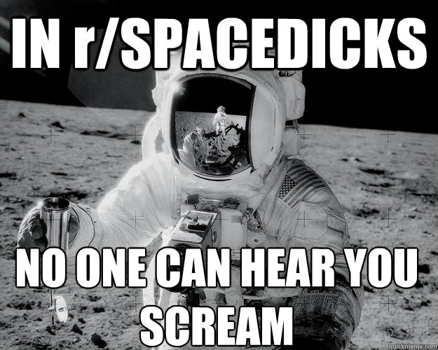 IN r/SPACEDICKS NO ONE CAN HEAR YOU SCREAM  