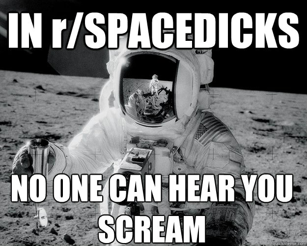 IN r/SPACEDICKS NO ONE CAN HEAR YOU SCREAM  Moon Man