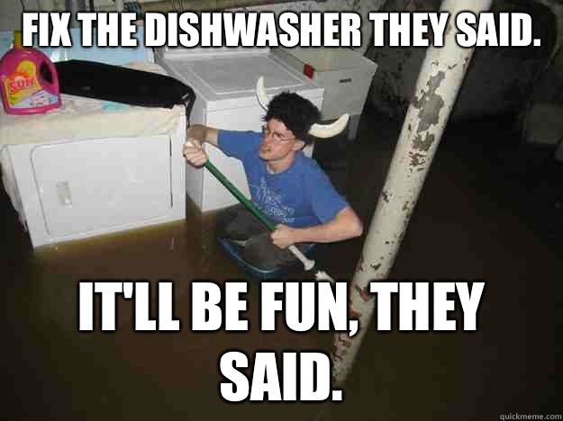 Fix the dishwasher they said. It'll be fun, they said.   Laundry Room Viking