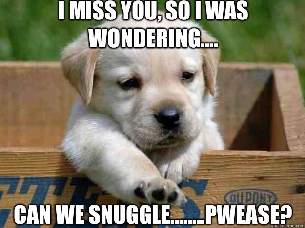 I miss you, so i was wondering.... Can we snuggle........pwease?  Cuddle