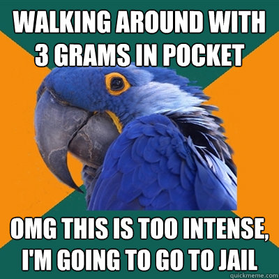walking around with 3 grams in pocket omg this is too intense, I'm going to go to jail  Paranoid Parrot