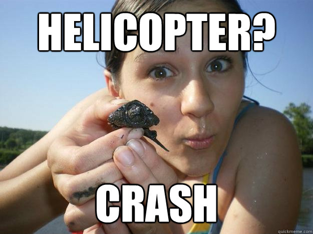 HELICOPTER? CRASH - HELICOPTER? CRASH  ZOMBIE SURVIVALIST