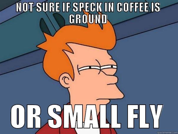 NOT SURE IF SPECK IN COFFEE IS GROUND OR SMALL FLY Futurama Fry