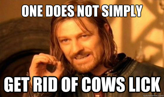 One Does Not Simply get rid of cows lick  Boromir
