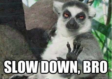  slow down, bro -  slow down, bro  Too High Lemur