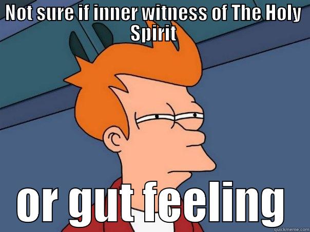 NOT SURE IF INNER WITNESS OF THE HOLY SPIRIT OR GUT FEELING Futurama Fry