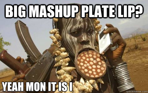big mashup plate lip? yeah mon it is i   big mashup plate lip