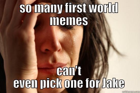 SO MANY FIRST WORLD MEMES CAN'T EVEN PICK ONE FOR JAKE First World Problems