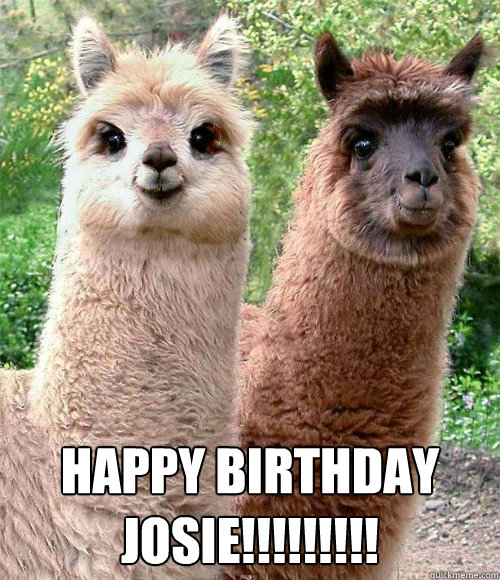  HAPPY BIRTHDAY
JOSIE!!!!!!!!! -  HAPPY BIRTHDAY
JOSIE!!!!!!!!!  Happy birthday Llama