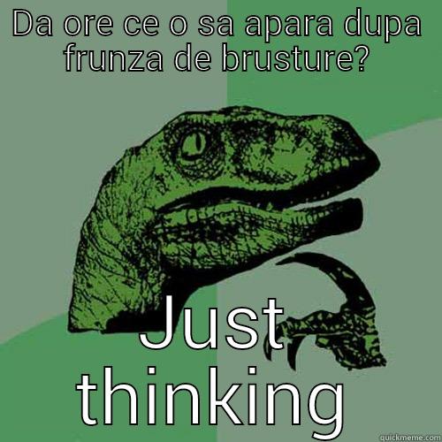 DA ORE CE O SA APARA DUPA FRUNZA DE BRUSTURE? JUST THINKING Philosoraptor