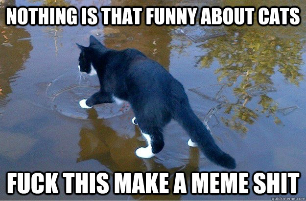 nothing is that funny about cats fuck this make a meme shit  Jesus Cat