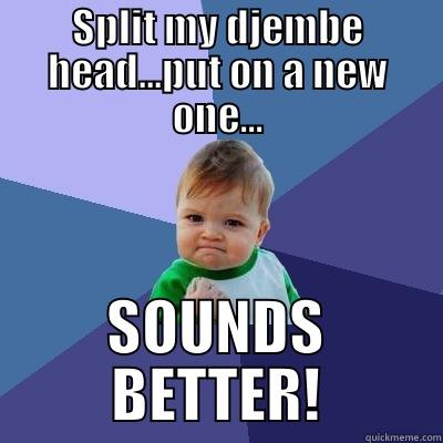 SPLIT MY DJEMBE HEAD...PUT ON A NEW ONE... SOUNDS BETTER! Success Kid