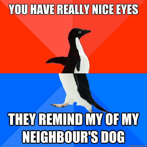 you have really nice eyes they remind my of my neighbour's dog  Socially Awesome Awkward Penguin