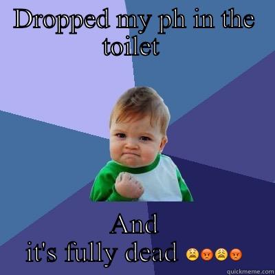 DROPPED MY PH IN THE TOILET  AND IT'S FULLY DEAD  Success Kid