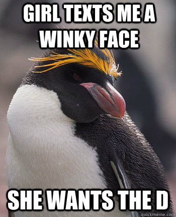 Girl texts me a winky face she wants the D  Socially Overconfident Penguin