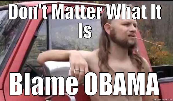 DON'T MATTER WHAT IT IS BLAME OBAMA Almost Politically Correct Redneck