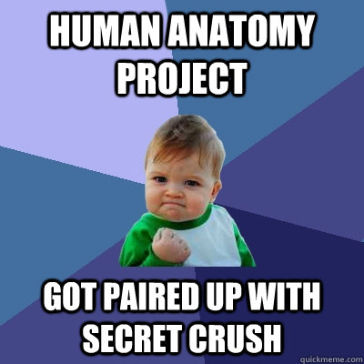 human anatomy project got paired up with secret crush  Success Kid