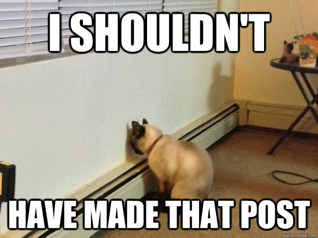 I shouldn't have made that post  Regretful Cat