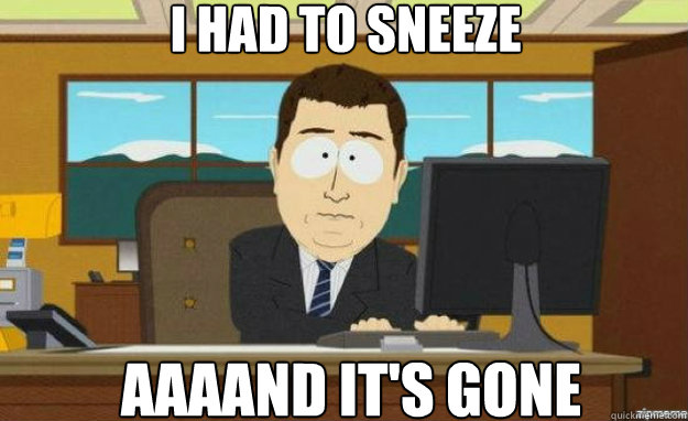 I had to sneeze AAAAND IT'S GONE  aaaand its gone
