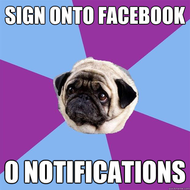 sign onto facebook 0 notifications  Lonely Pug