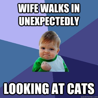 Wife walks in unexpectedly looking at cats  Success Kid