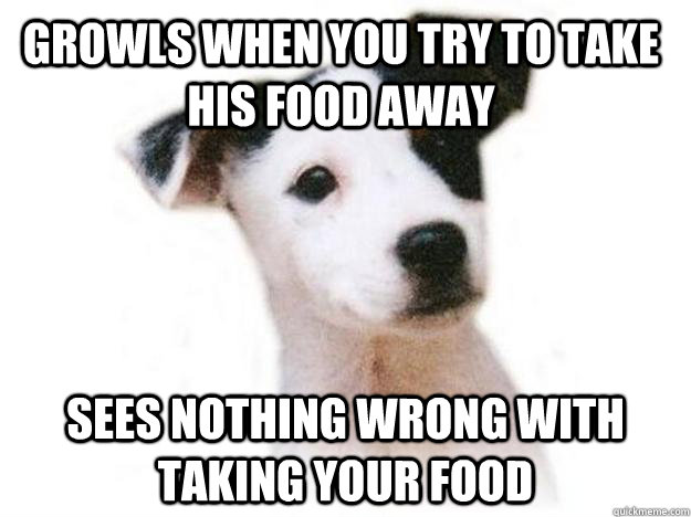 Growls when you try to take his food away sees nothing wrong with taking your food - Growls when you try to take his food away sees nothing wrong with taking your food  Misc
