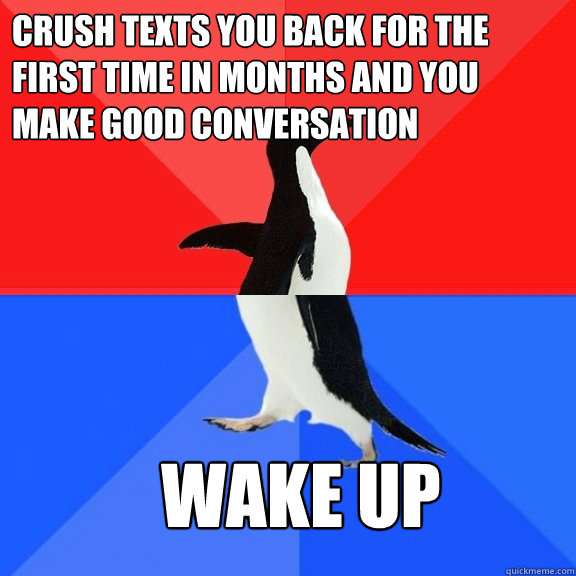 crush texts you back for the first time in months and you make good conversation wake up  Socially Awksome Penguin