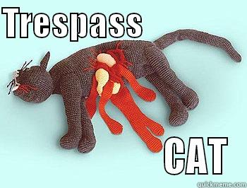 TRESPASS                                      CAT Misc