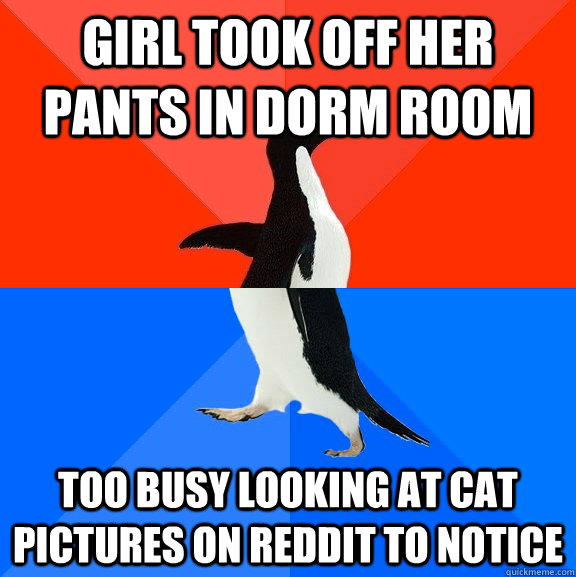 Girl took off her pants in dorm room too busy looking at cat pictures on reddit to notice  Socially Awesome Awkward Penguin