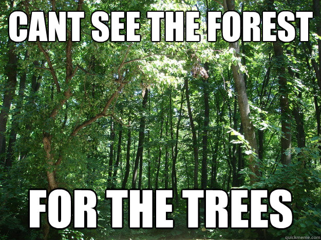cant see the forest for the trees - cant see the forest for the trees  When I click rall