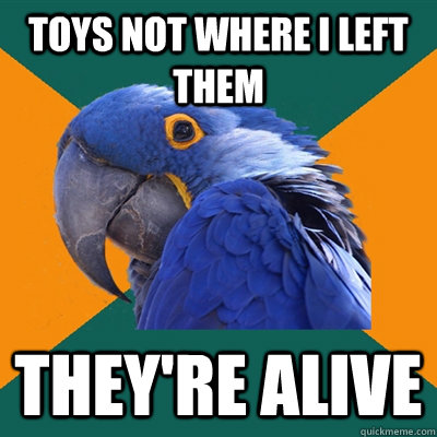 Toys not where I left them they're alive  Paranoid Parrot