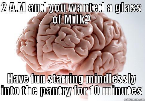 2 A.M AND YOU WANTED A GLASS OF MILK? HAVE FUN STARRING MINDLESSLY INTO THE PANTRY FOR 10 MINUTES Scumbag Brain