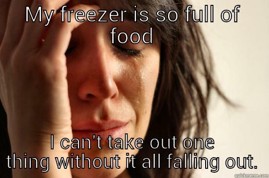 MY FREEZER IS SO FULL OF FOOD I CAN'T TAKE OUT ONE THING WITHOUT IT ALL FALLING OUT. First World Problems
