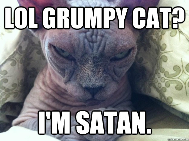 lol grumpy cat? i'm satan. - lol grumpy cat? i'm satan.  Sinister Cat