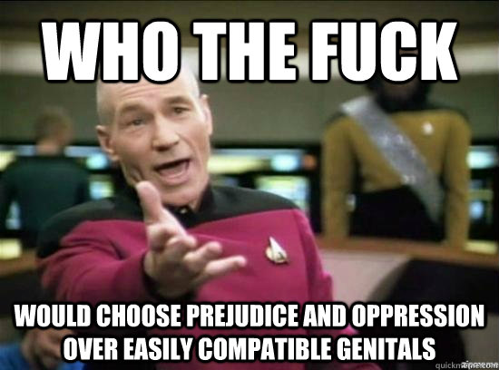 who the fuck would choose prejudice and oppression over easily compatible genitals - who the fuck would choose prejudice and oppression over easily compatible genitals  Annoyed Picard HD