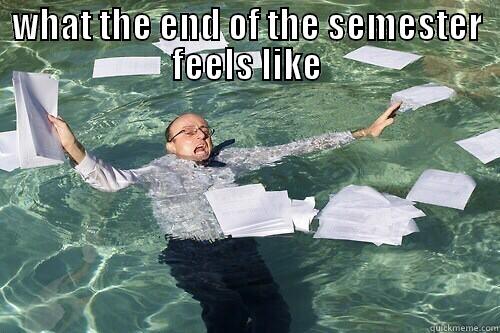 end of semester - WHAT THE END OF THE SEMESTER FEELS LIKE  Misc