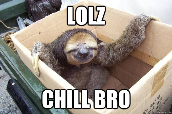 LOLZ CHILL BRO - LOLZ CHILL BRO  sloth box chill bro