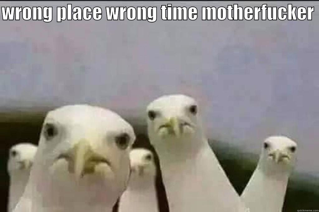 WRONG PLACE WRONG TIME MOTHERFUCKER   Misc