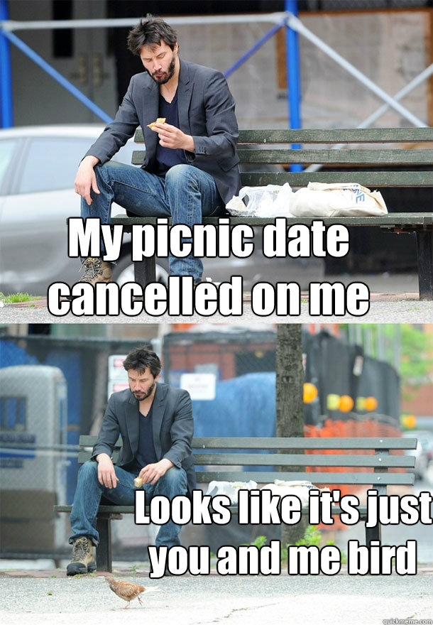 My picnic date cancelled on me Looks like it's just you and me bird  Sad Keanu