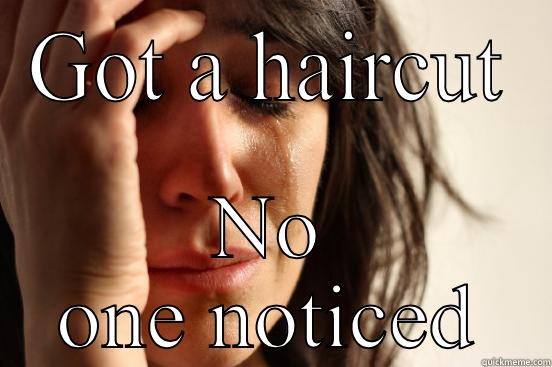 GOT A HAIRCUT NO ONE NOTICED First World Problems