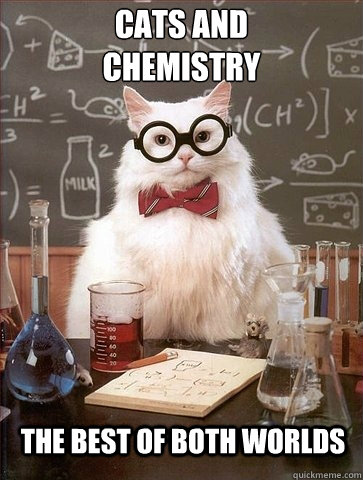 Cats and 
chemistry the best of both worlds  Chemistry Cat