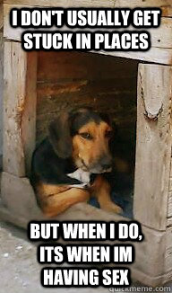 i don't usually get stuck in places but when i do,       its when im having sex  