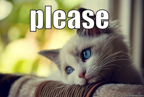 PLEASE  First World Problems Cat