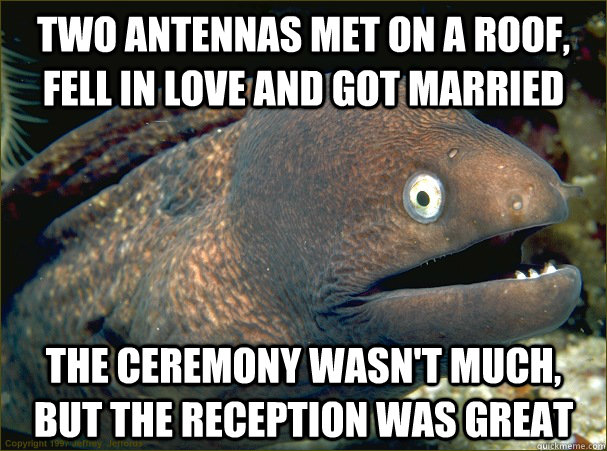 two antennas met on a roof, fell in love and got married the ceremony wasn't much, but the reception was great  Bad Joke Eel