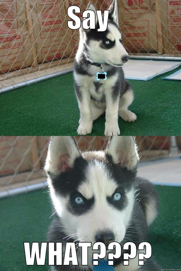 SAY WHAT???? Insanity puppy