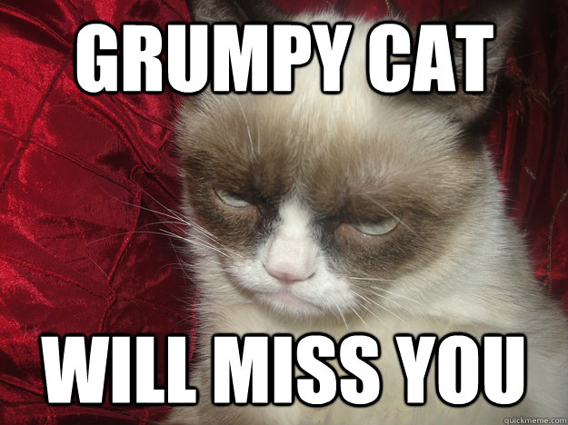 GRUMPY CAT WILL MISS YOU - GRUMPY CAT WILL MISS YOU  Are You Kidding Grumpy Cat