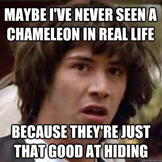Maybe I've never seen a Chameleon in real life Because they're just that good at hiding  conspiracy keanu