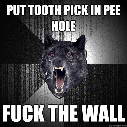 PUT TOOTH PICK IN PEE HOLE FUCK THE WALL  Insanity Wolf
