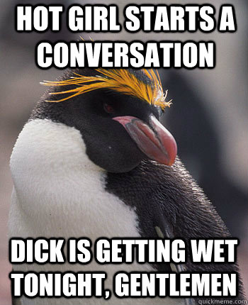 hot girl starts a conversation Dick is getting wet tonight, gentlemen  Socially Overconfident Penguin